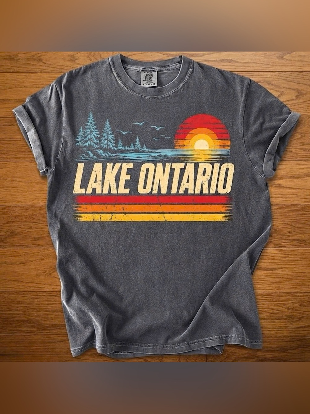 Vintage Lake Ontario New York Graphic Tee, Retro Charcoal Colors